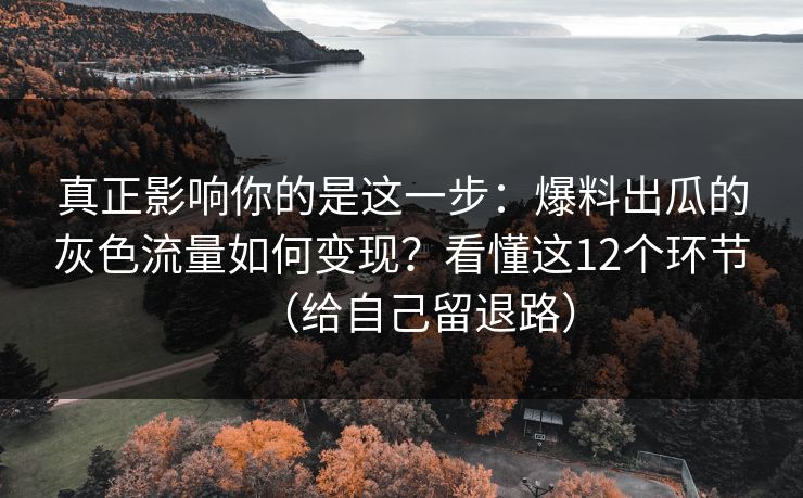 真正影响你的是这一步：爆料出瓜的灰色流量如何变现？看懂这12个环节（给自己留退路）